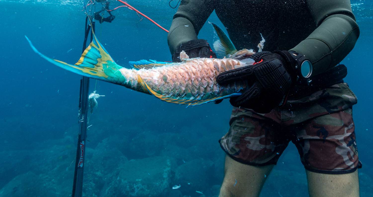 Guests with a fresh reef-fish catch on the Kona shore