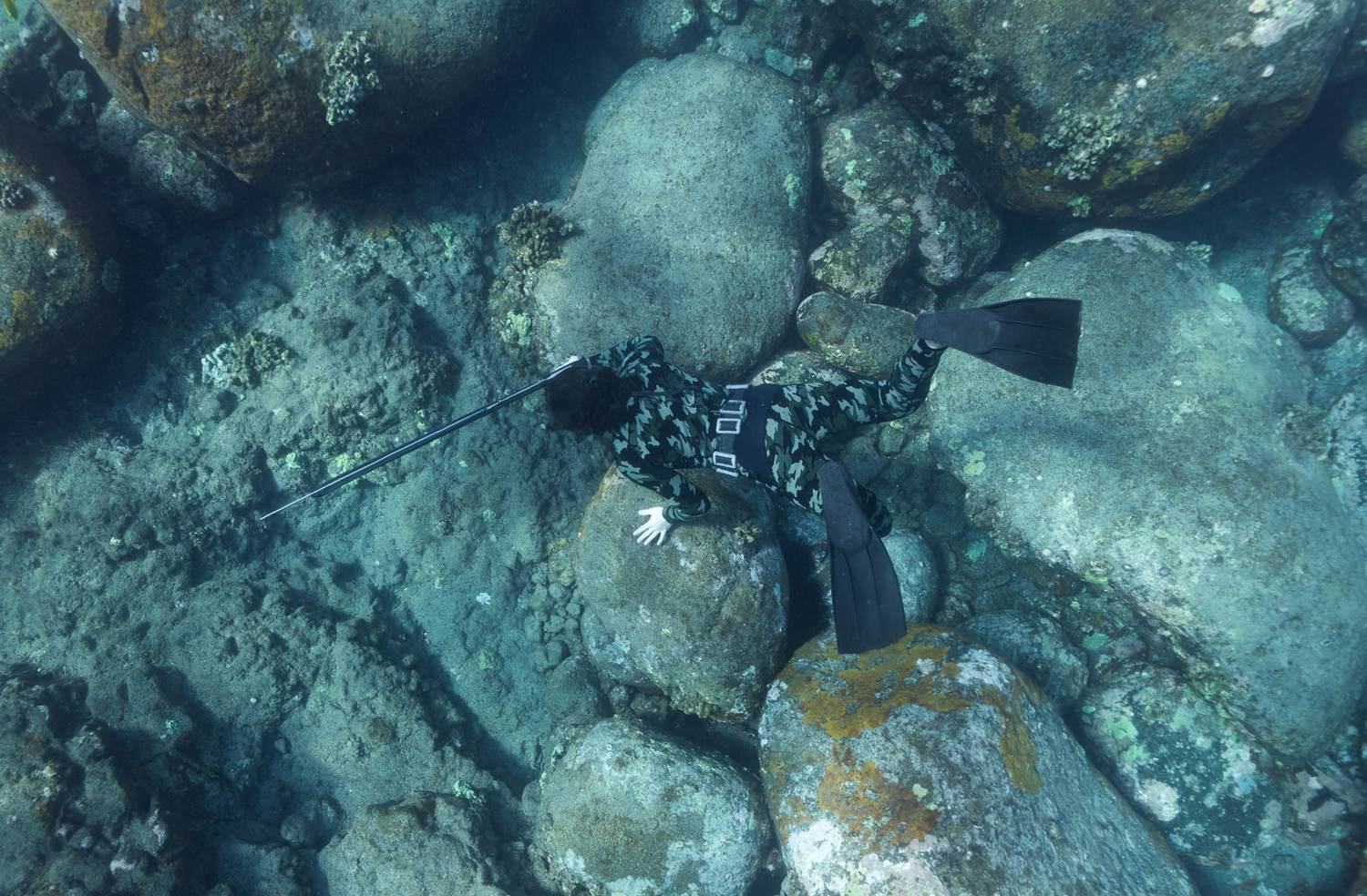 Selective hunting over Big Island reef