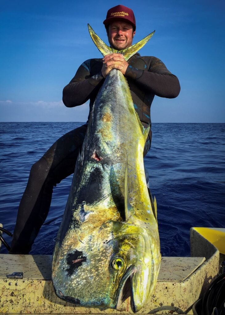 50lb Mahi Mahi