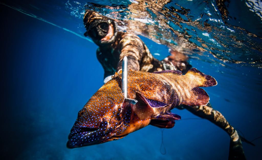 Invasive Species Hunts